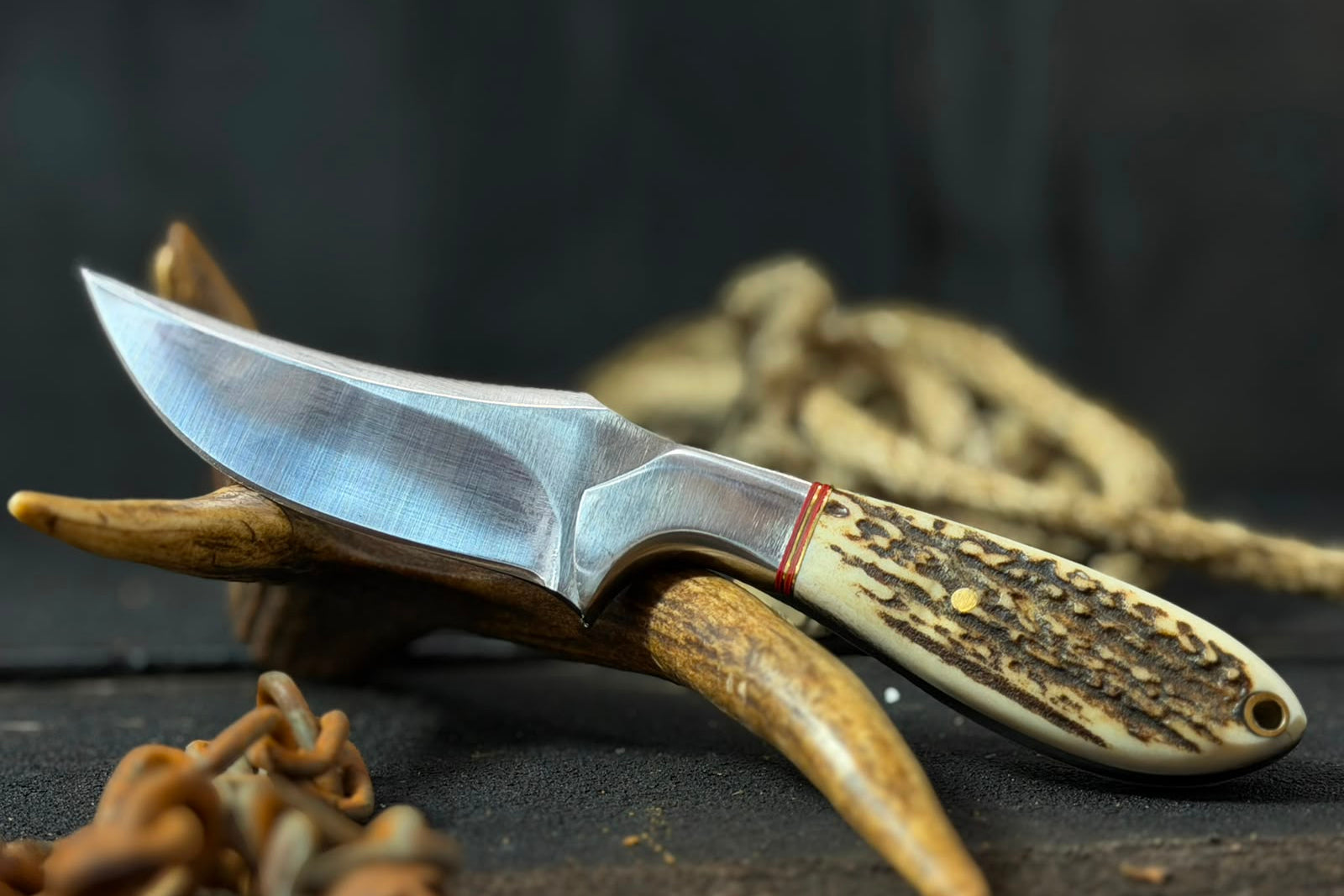 Knife with wooden handle on antlers against a dark background