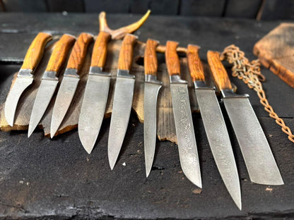 Set of knives with wooden handles on a dark surface
