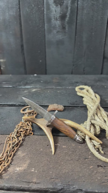 Handmade Classic Hunting Dagger Knife with Walnut Wood Handle – Fixed Blade Outdoor Survival & Collector Knife